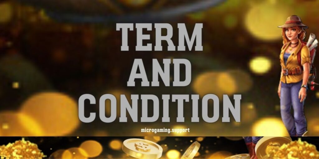 ข้อกำหนดและเงื่อนไข